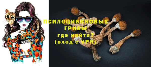 ГАЛЛЮЦИНОГЕННЫЕ ГРИБЫ Верхний Тагил